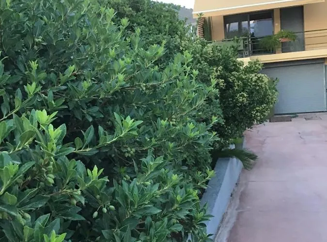 Apartament Blue...violet *