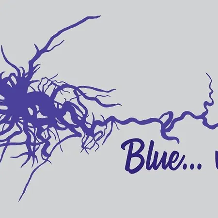 Blue...violet Appartement