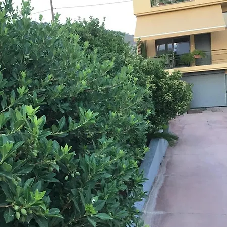 Apartment Blue...violet *